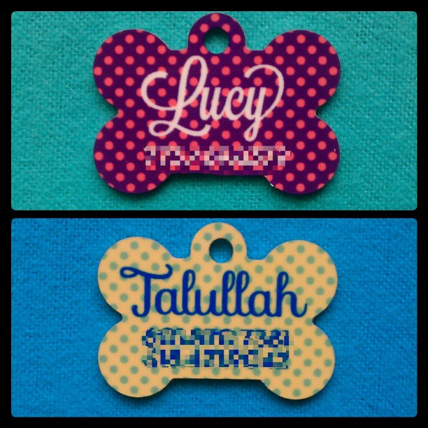 Custom Pet Tags made with sublimation printing