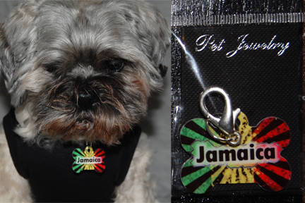 Island Vibe Pet Tag made with sublimation printing