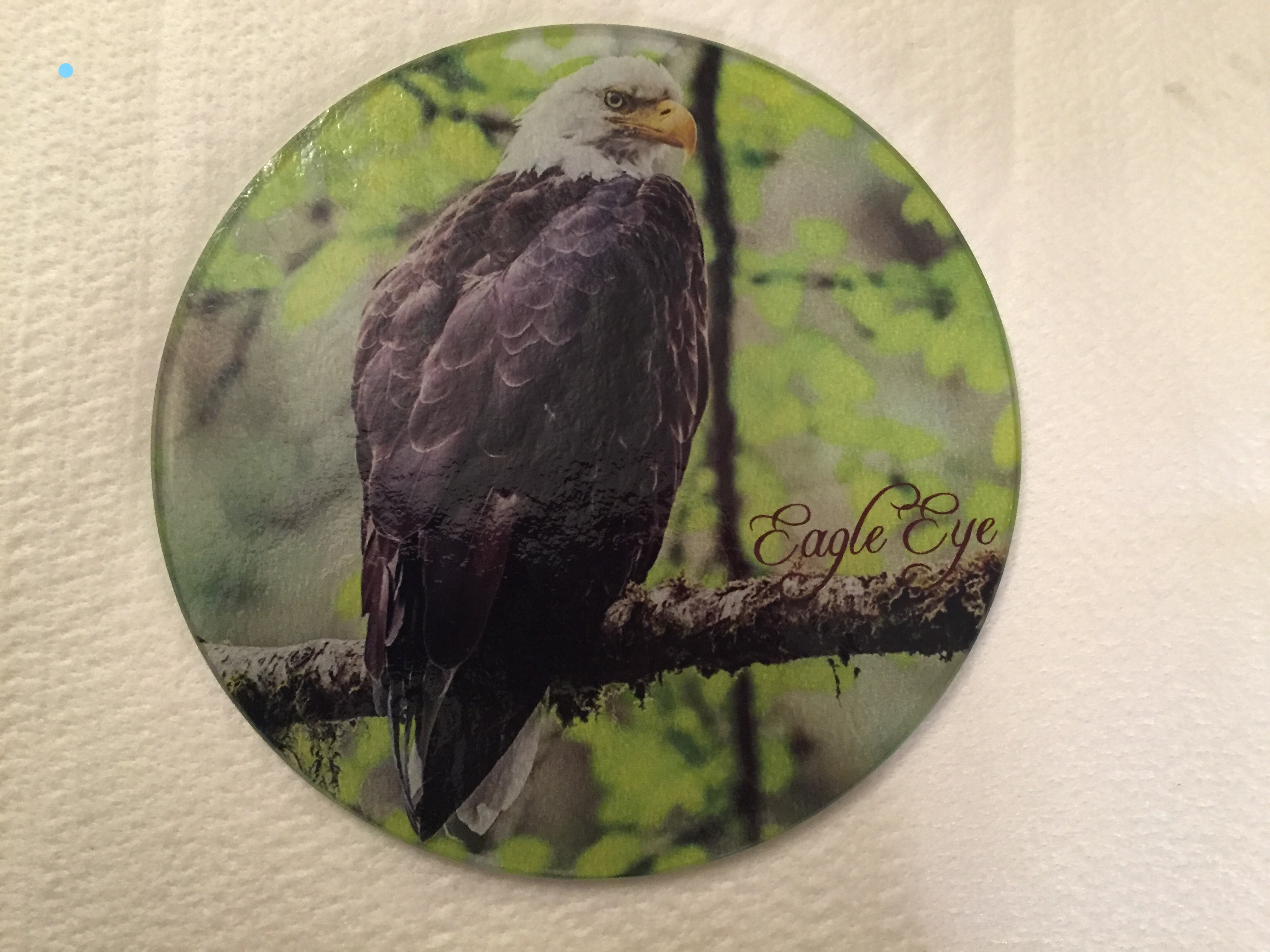 Eagle Eye made with sublimation printing
