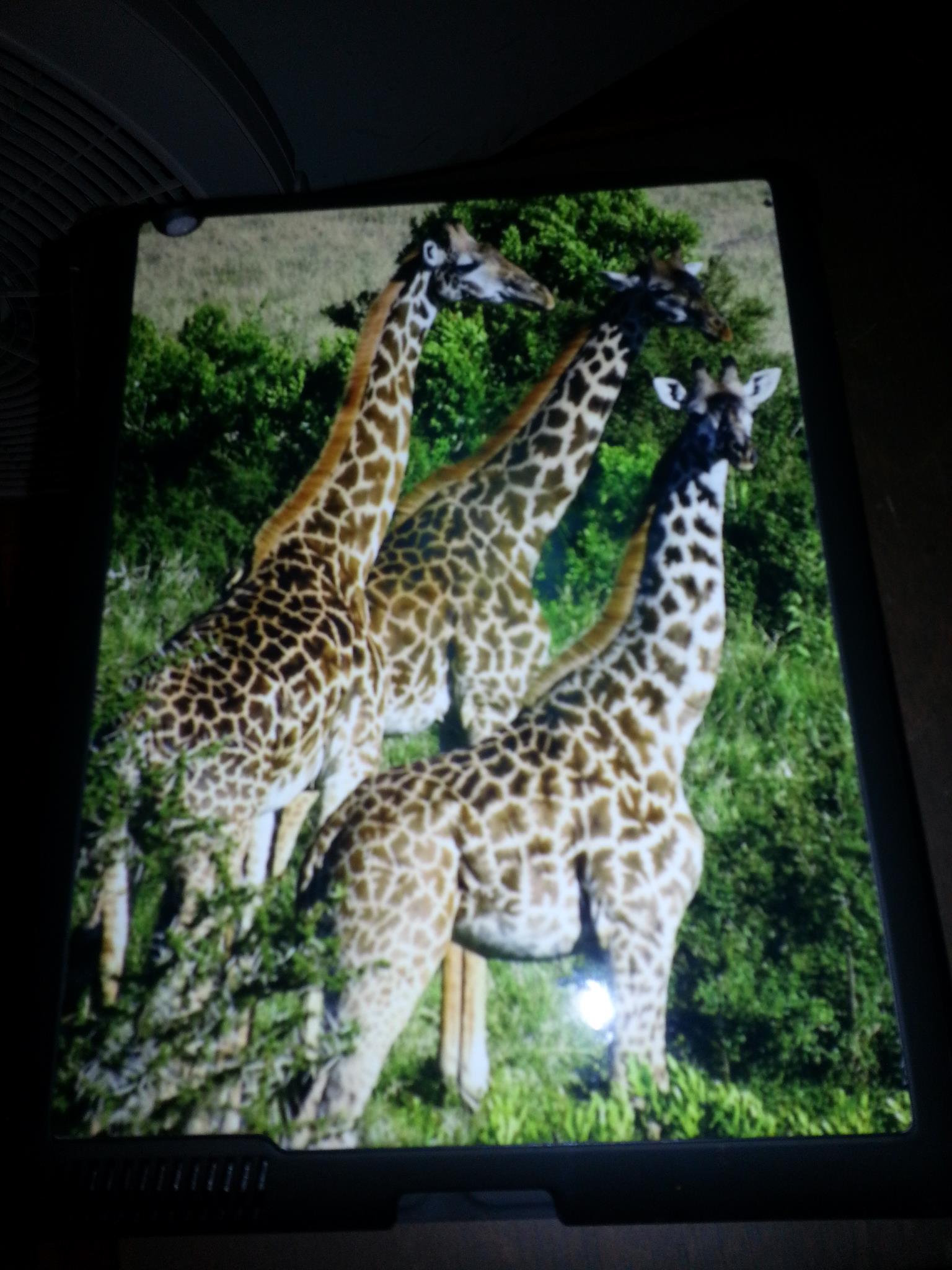 Tablet Cover made with sublimation printing