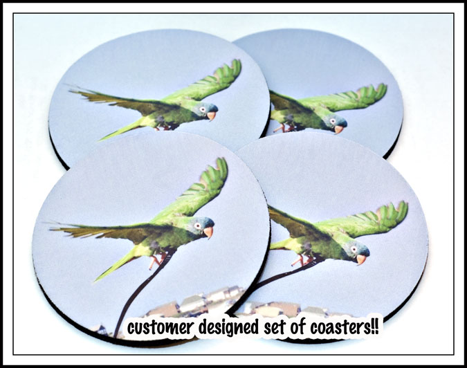 Pet Parrot Coasters made with sublimation printing