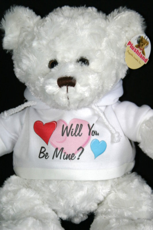 Teddy Love made with sublimation printing
