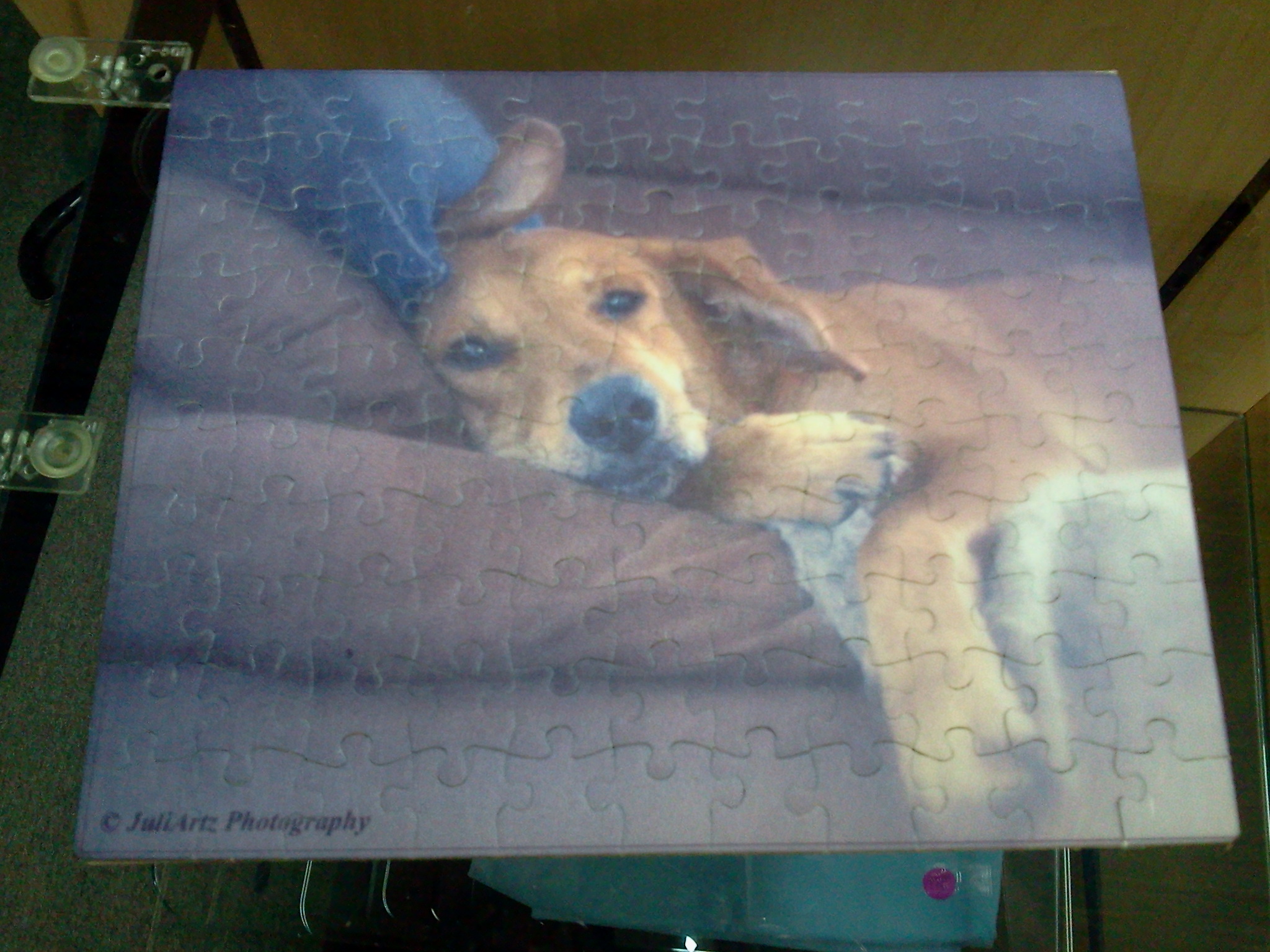 Doggy Puzzle made with sublimation printing