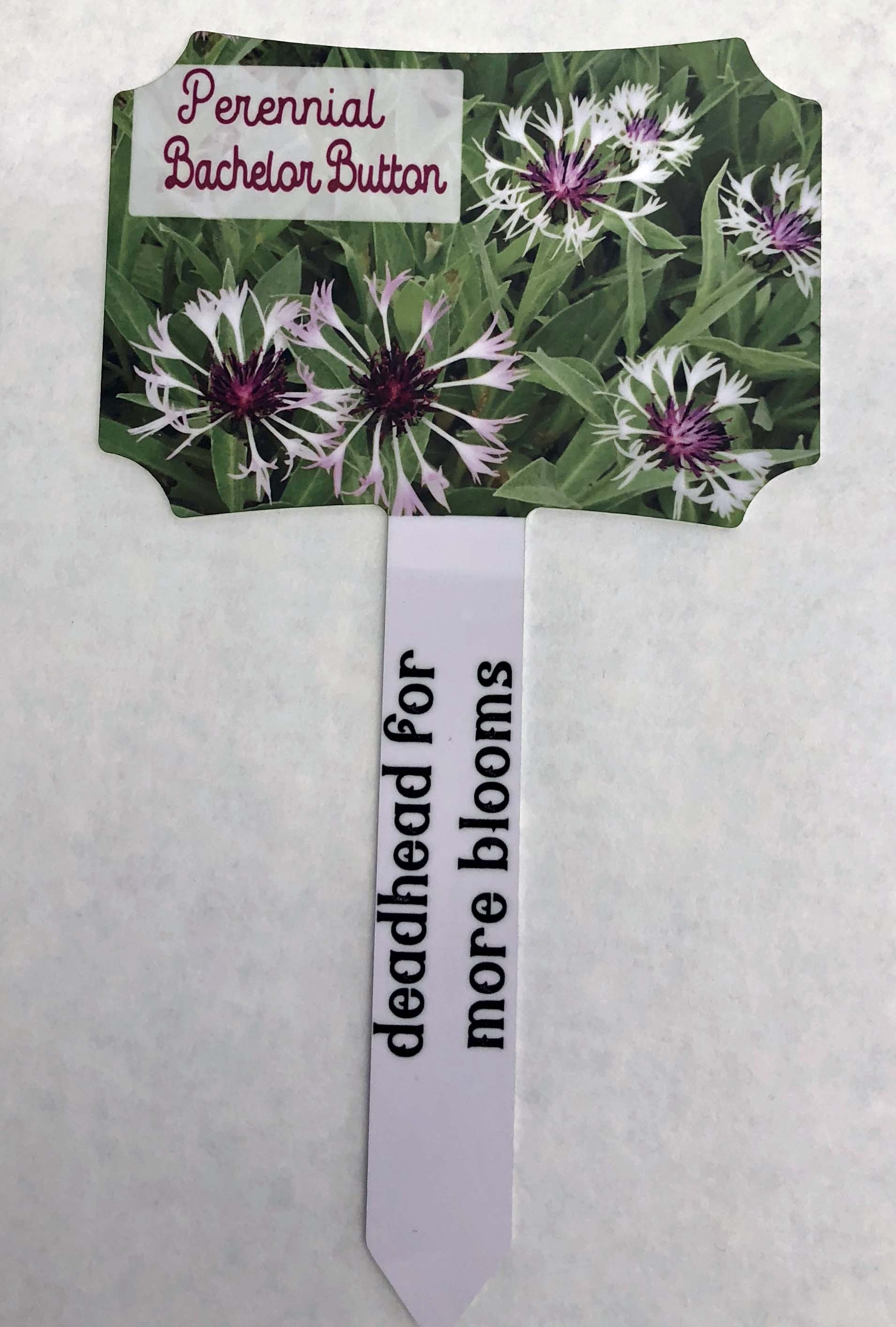 Perennial garden stake made with sublimation printing