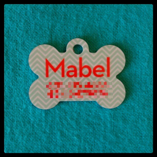 Custom Pet Tag made with sublimation printing
