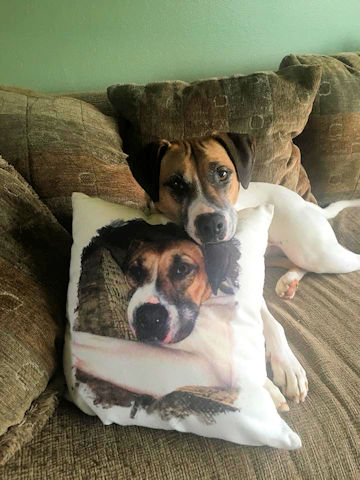 Another Spoiled Pet Pillow made with sublimation printing