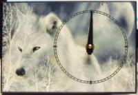 I have a great fondess for wolves.  And this is the first of these clocks I have made.  It was 