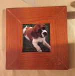 This is a tile with an adorable puppy sublimated on it with a handmade frame.