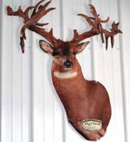 Why mount a big deer head on the wall when you can PhotoSTEEL It!!!!!