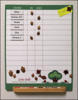 Magnetic dry-erase board with wooden acorns and leaf shaped magnets for a counseling office. I 