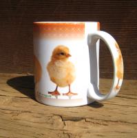 Fun photographic design of baby chicks in the Spring.