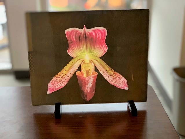 Orchid on Colorlyte Glass made with sublimation printing