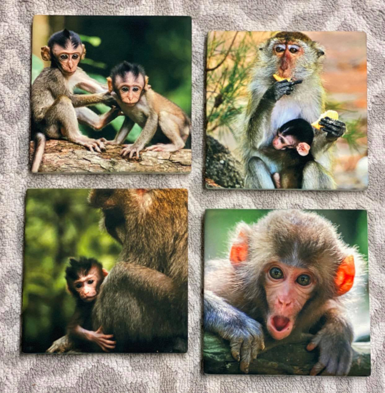 Monkey's at their best made with sublimation printing