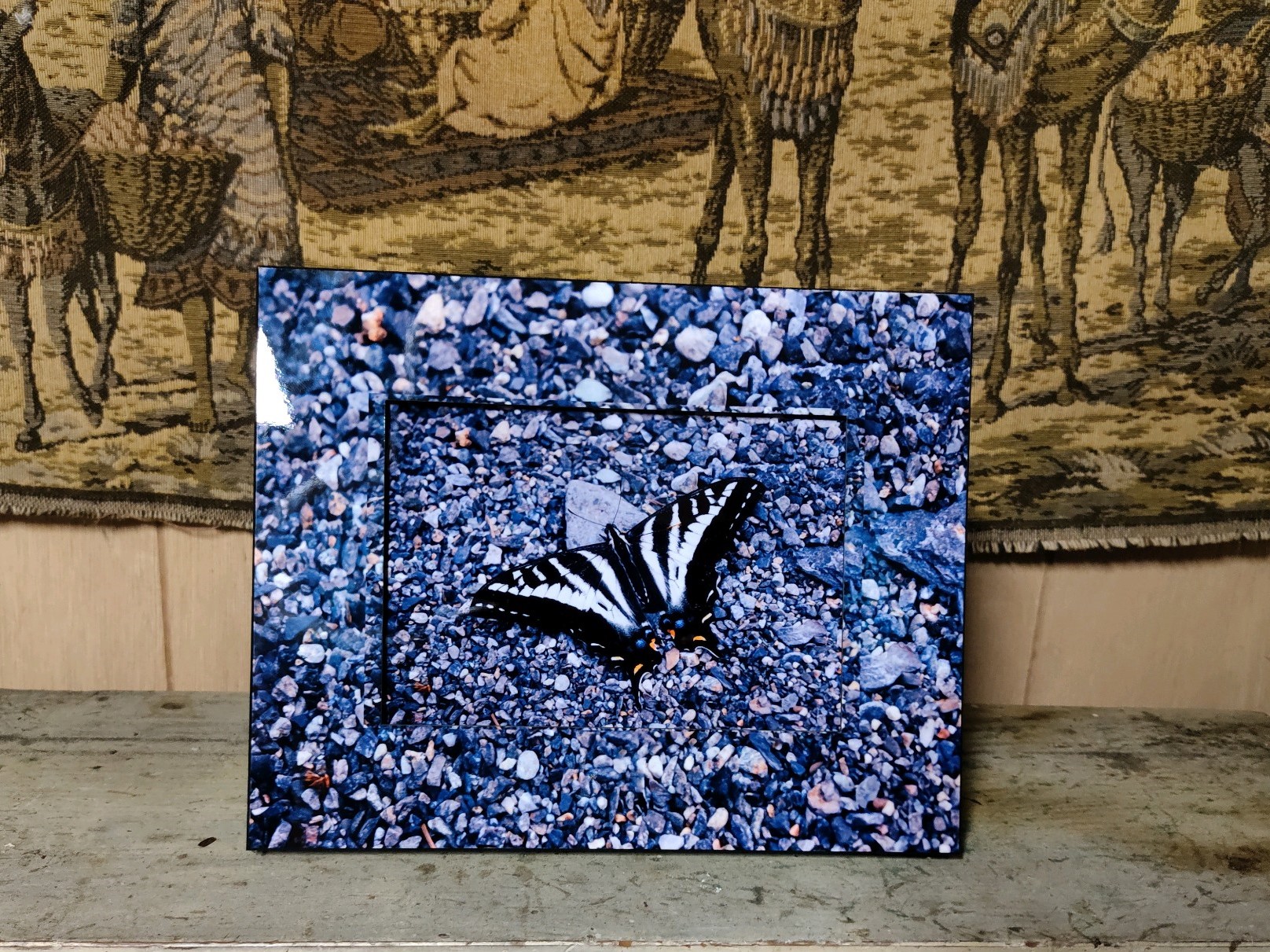 Pale Swallowtail on Gravel made with sublimation printing