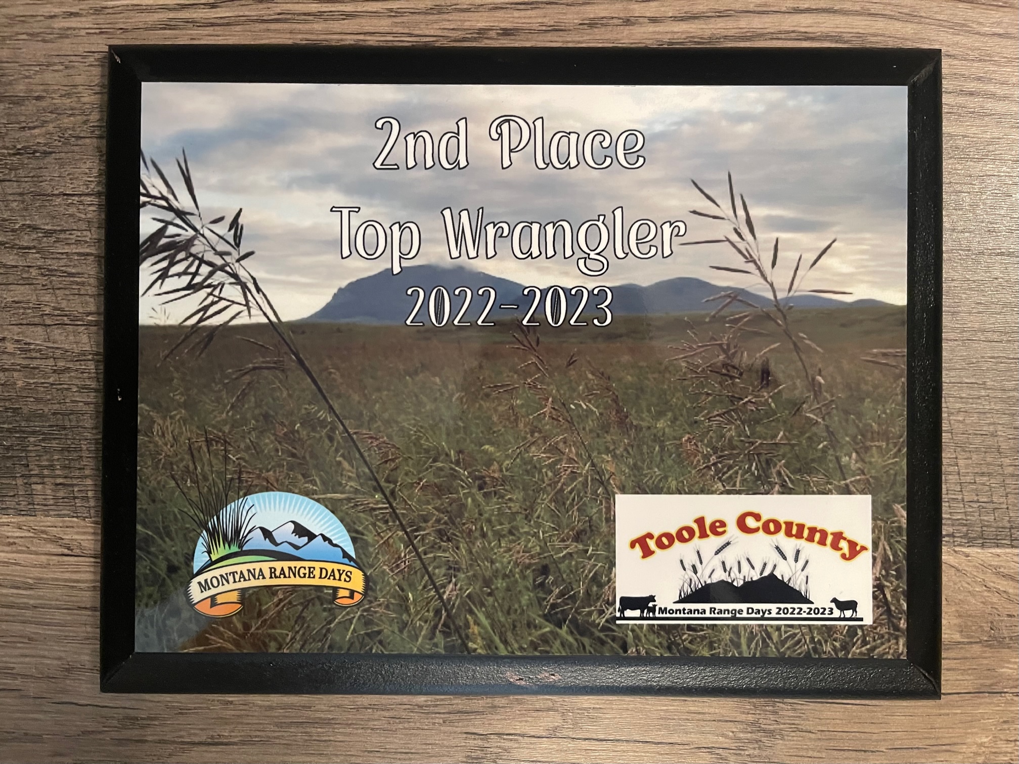 2nd Place Award made with sublimation printing