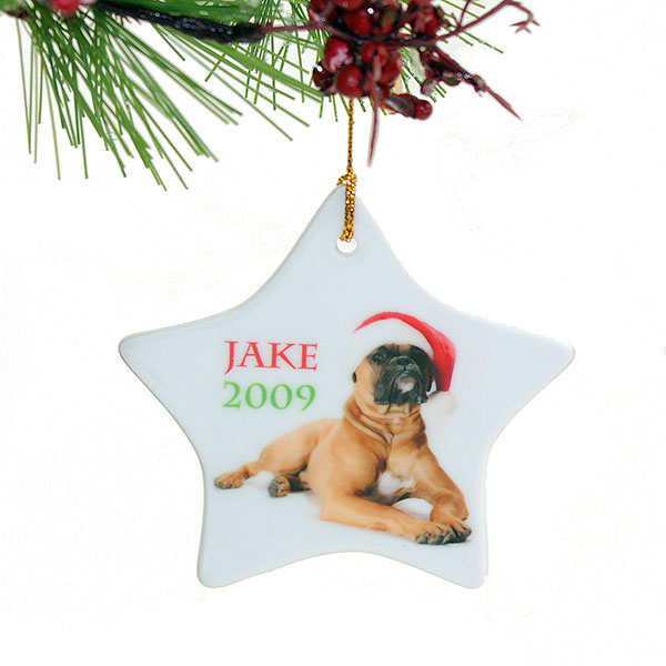 Porcelain Star Ornament made with sublimation printing