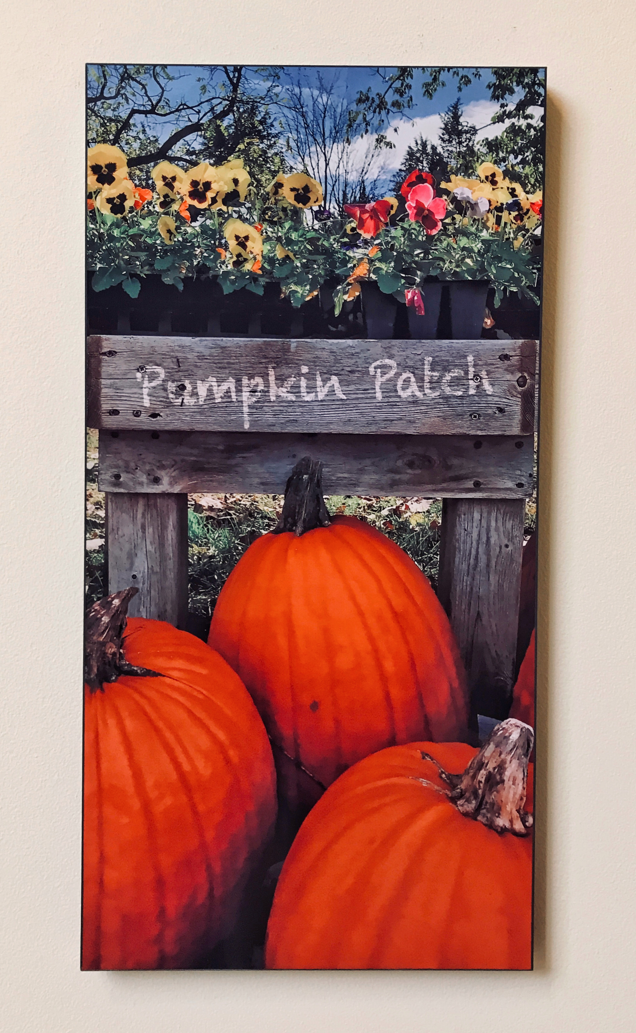 Pumpkin Patch Plaque made with sublimation printing