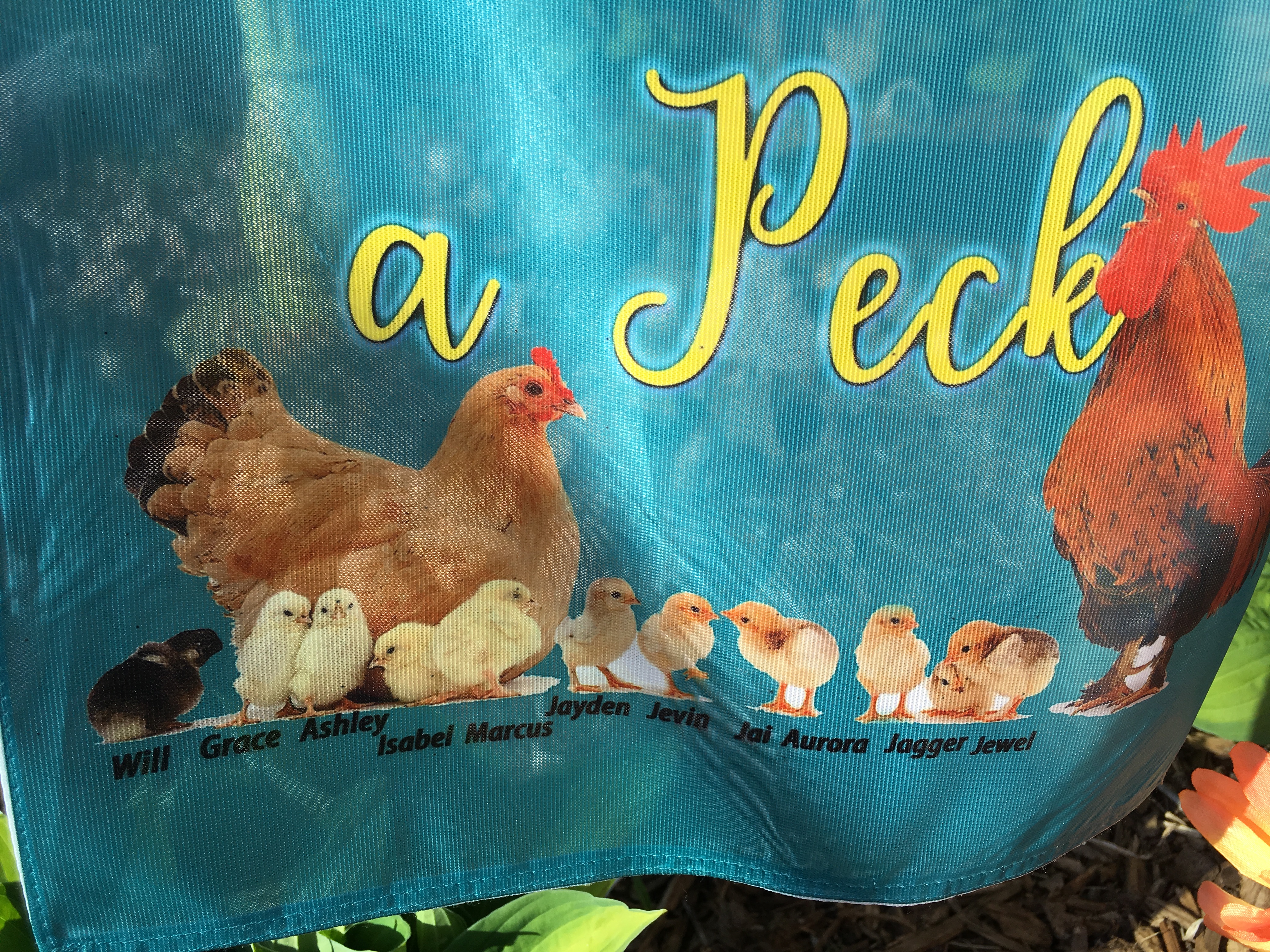 Grandkids chicks flag made with sublimation printing