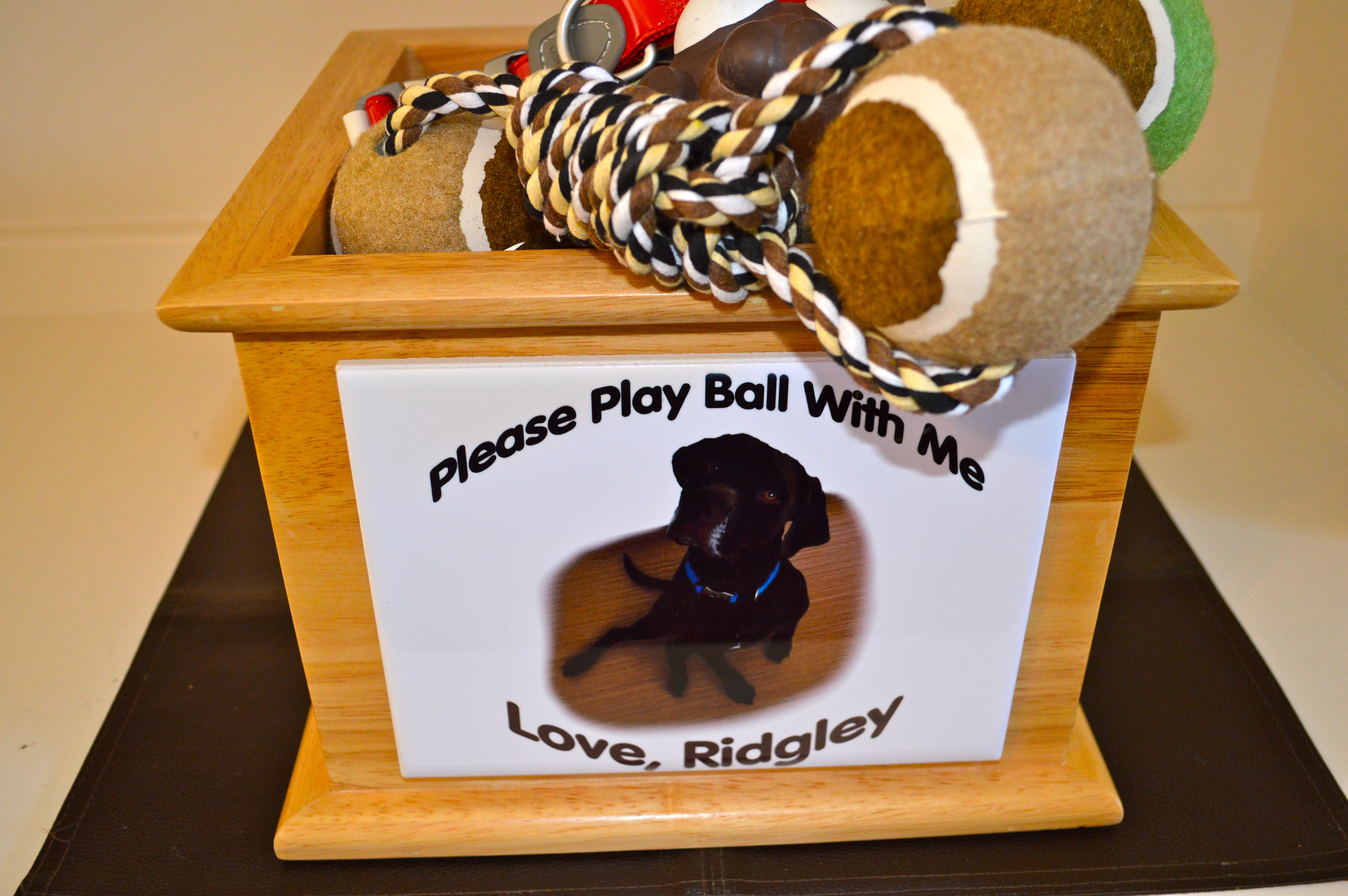 Pet Contest Ball  Box made with sublimation printing