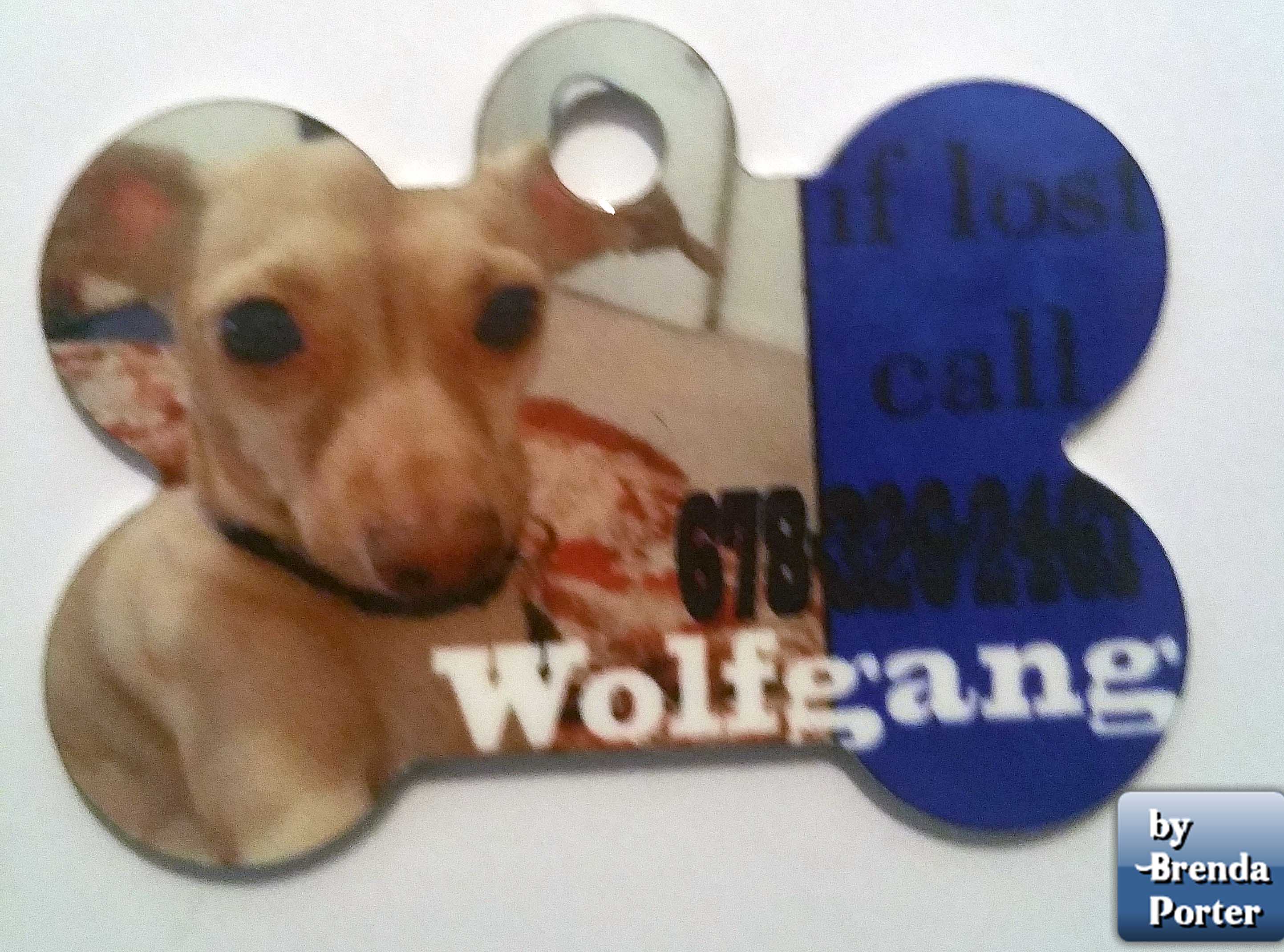 Wolfgang's Tag made with sublimation printing