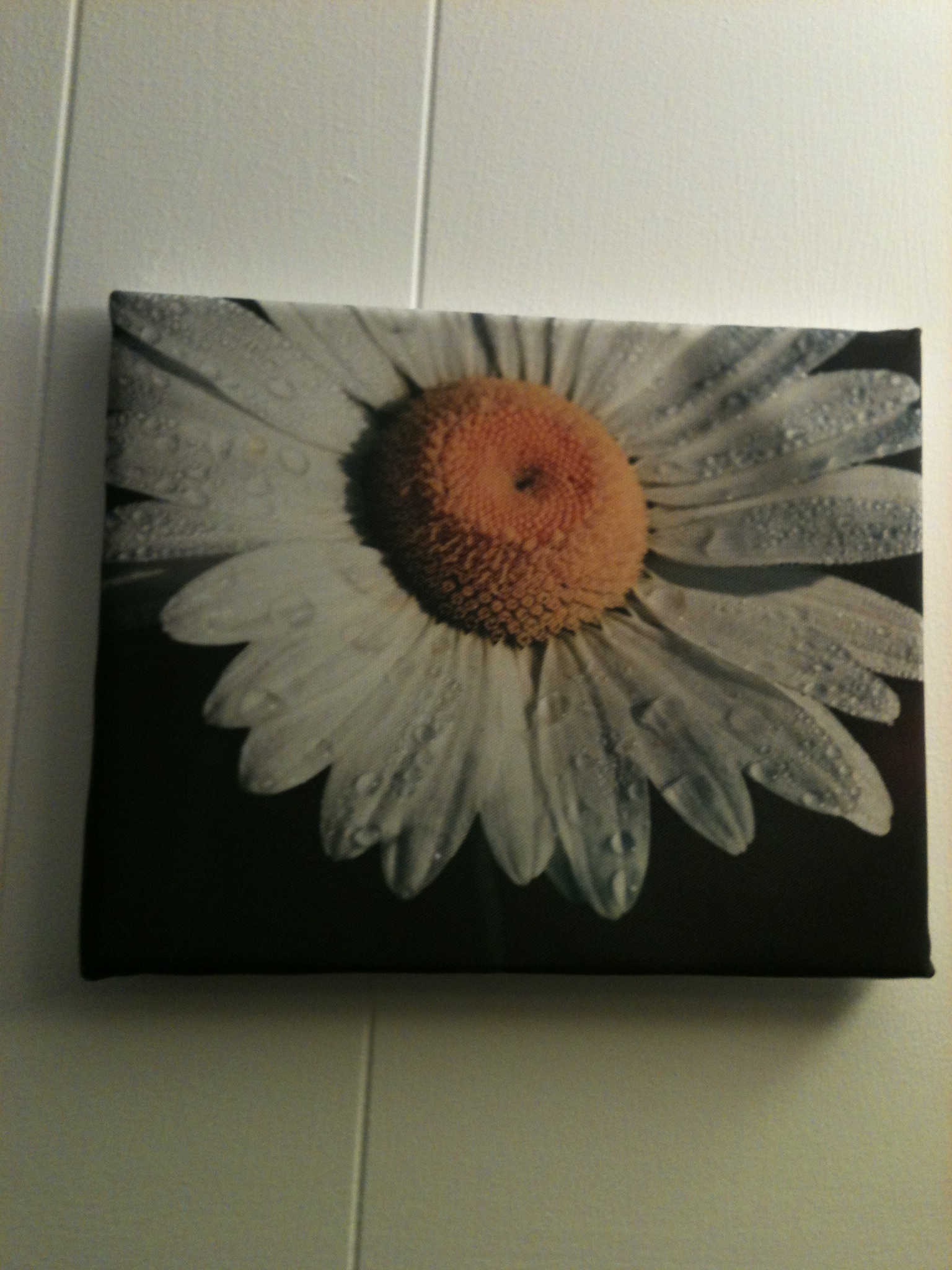 Canvas Print  made with sublimation printing