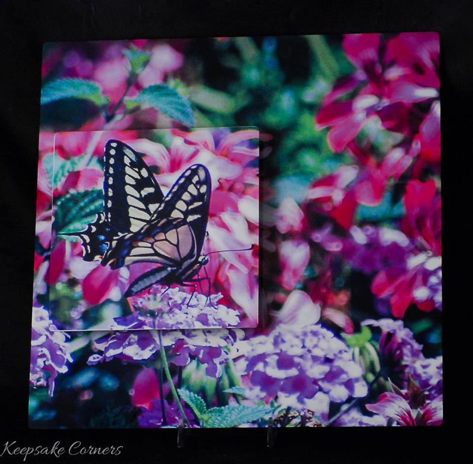 Butterfly in Flight made with sublimation printing
