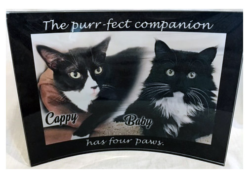 The Perfect Companion made with sublimation printing