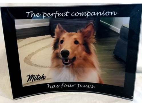 The Perfect Companion made with sublimation printing