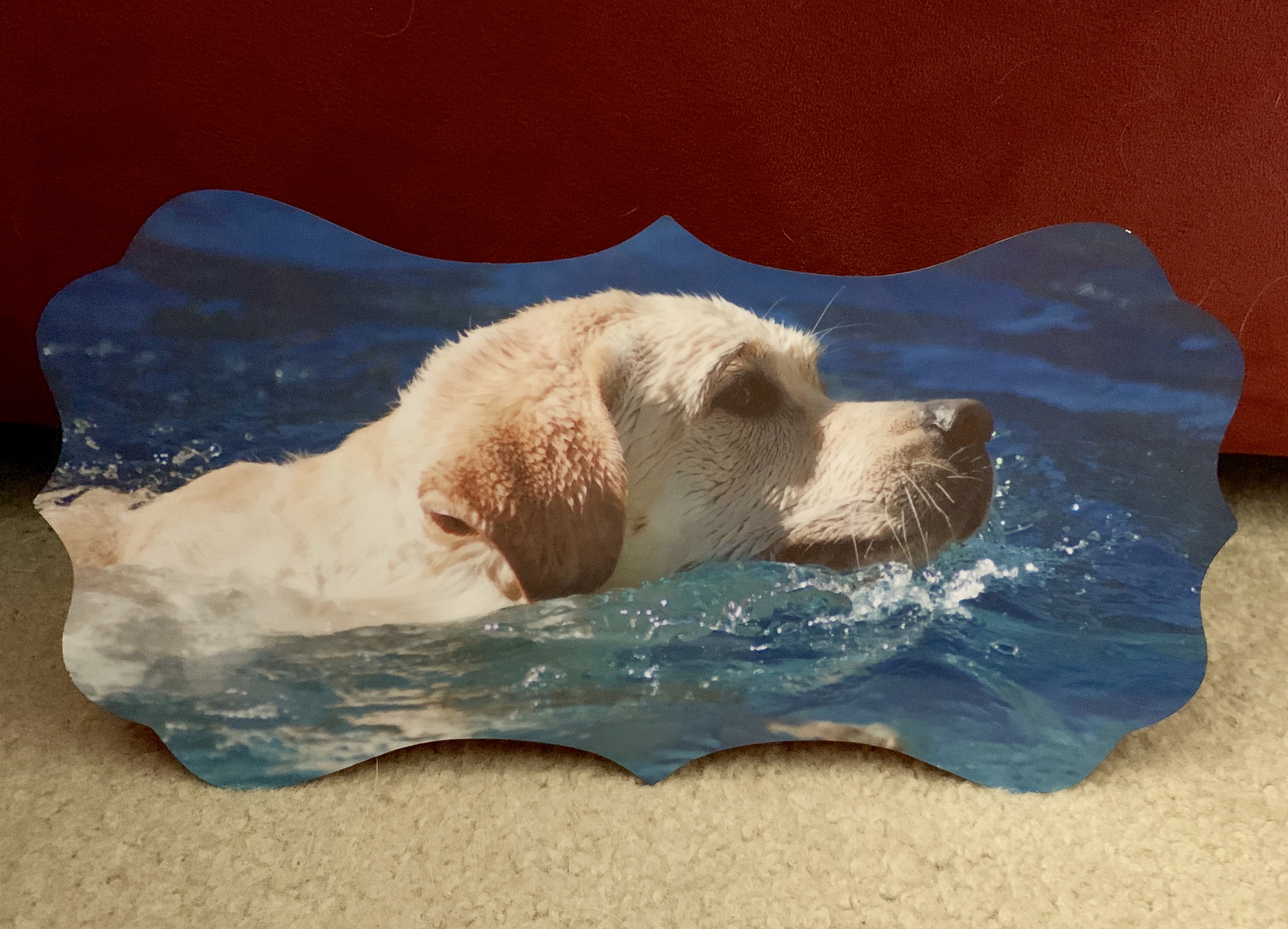 Give a Dog Some Water made with sublimation printing
