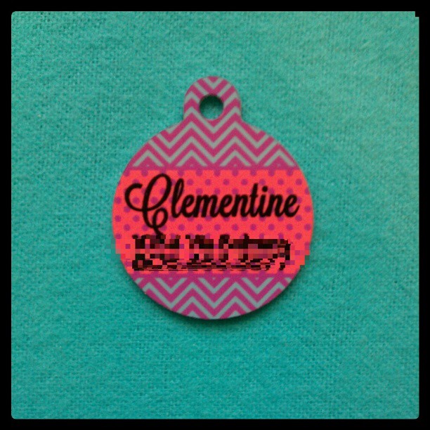 Custom Pet Tag made with sublimation printing