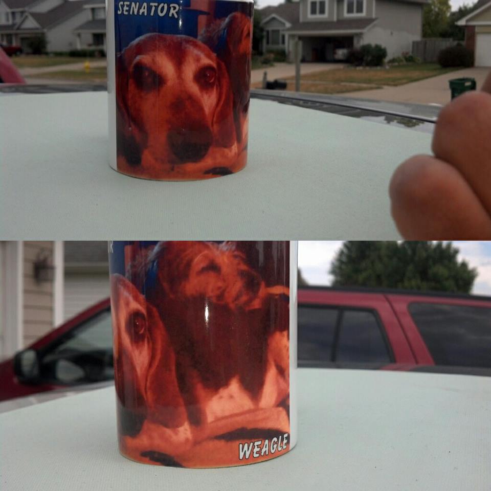 Dogs made with sublimation printing
