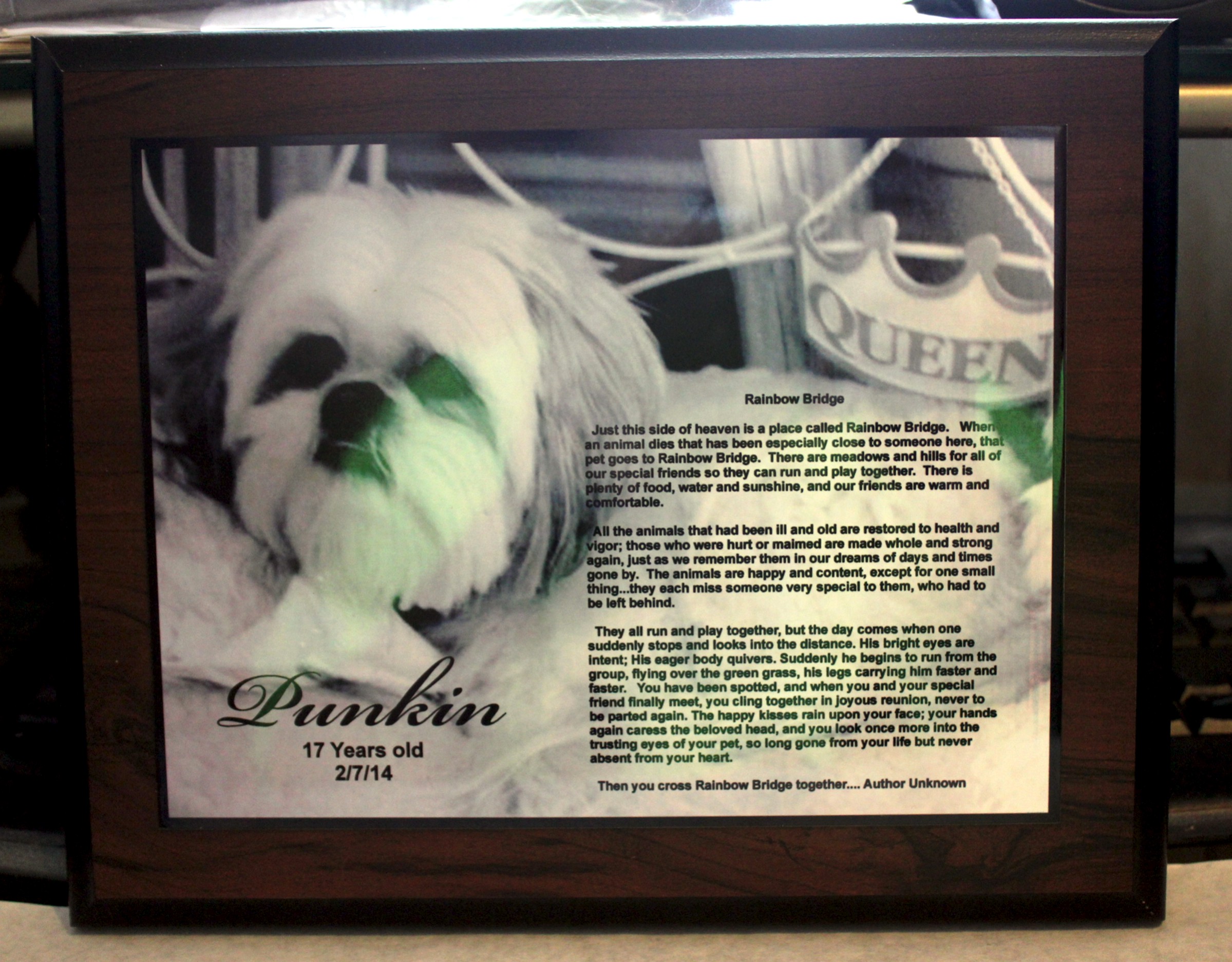 Pet Memorial Plaque made with sublimation printing