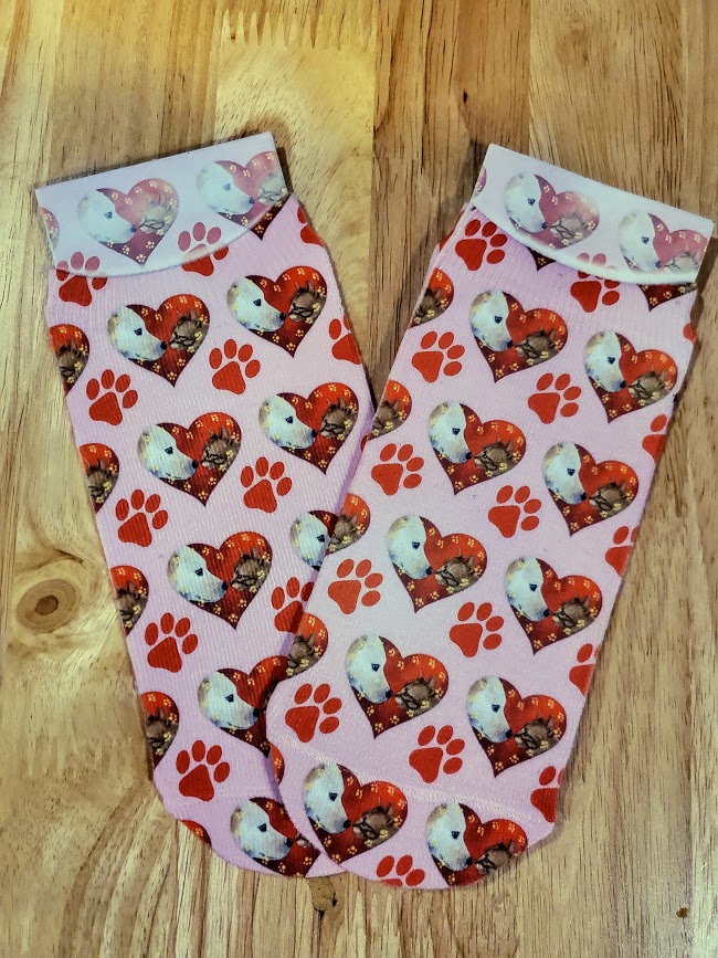 Heart Pets ankle socks.  I designed the pattern with 2 different background colors.  The socks 
