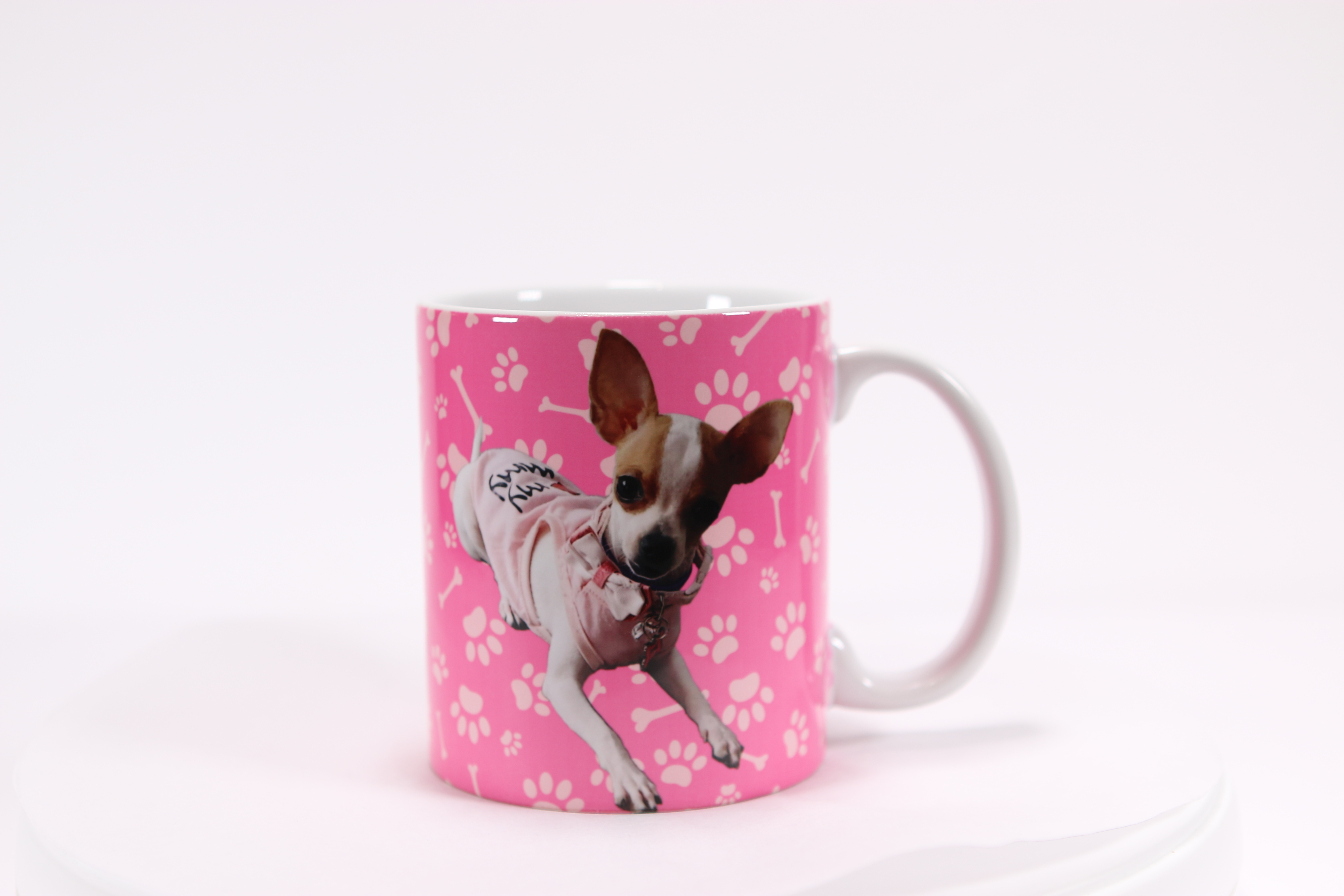 The dog owner love her dog that she wanted a mug to have her next on the office