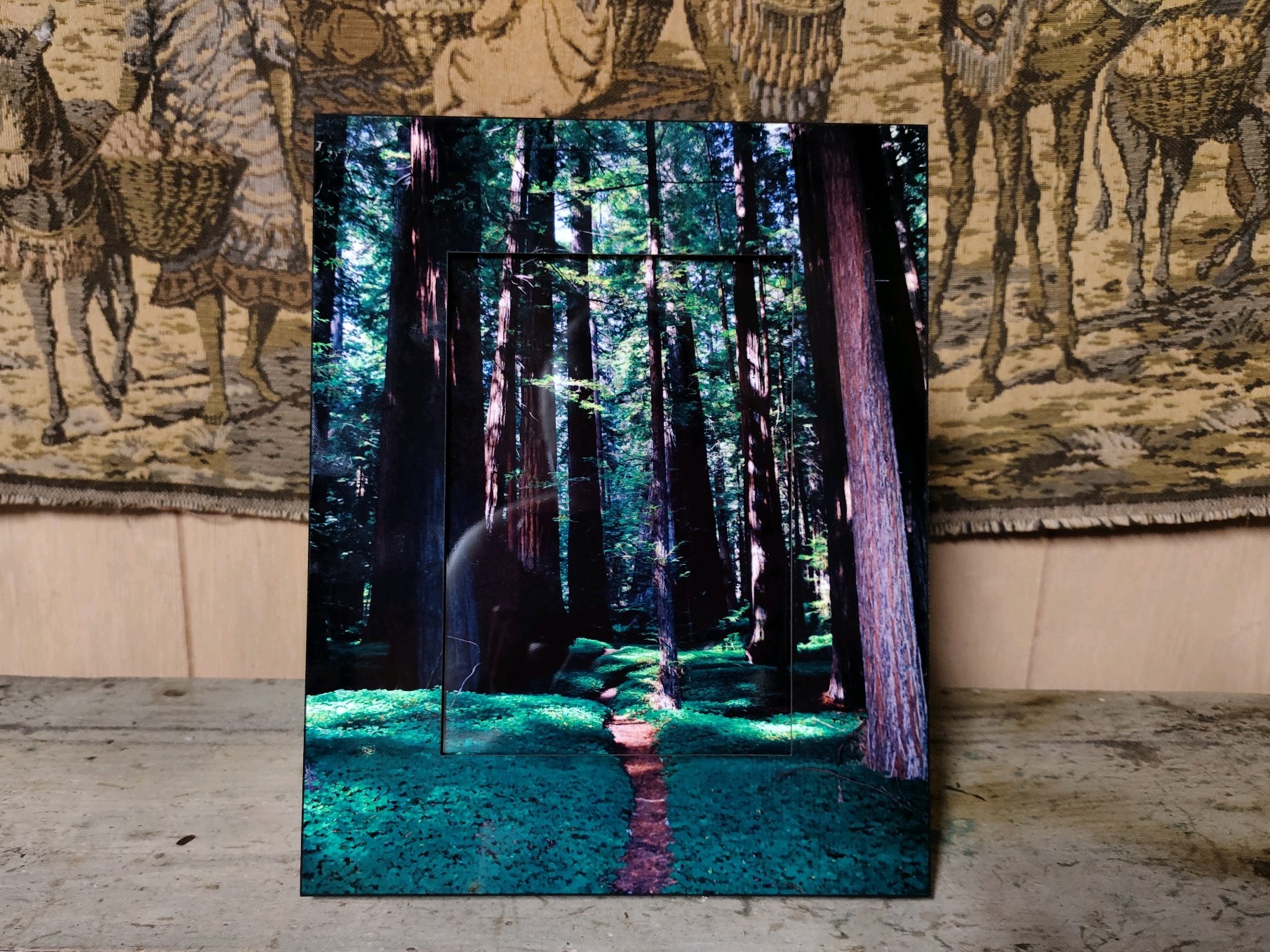 Redwood Trails: an image of a trail in the redwood forest of Northern California. Artist W. J. 