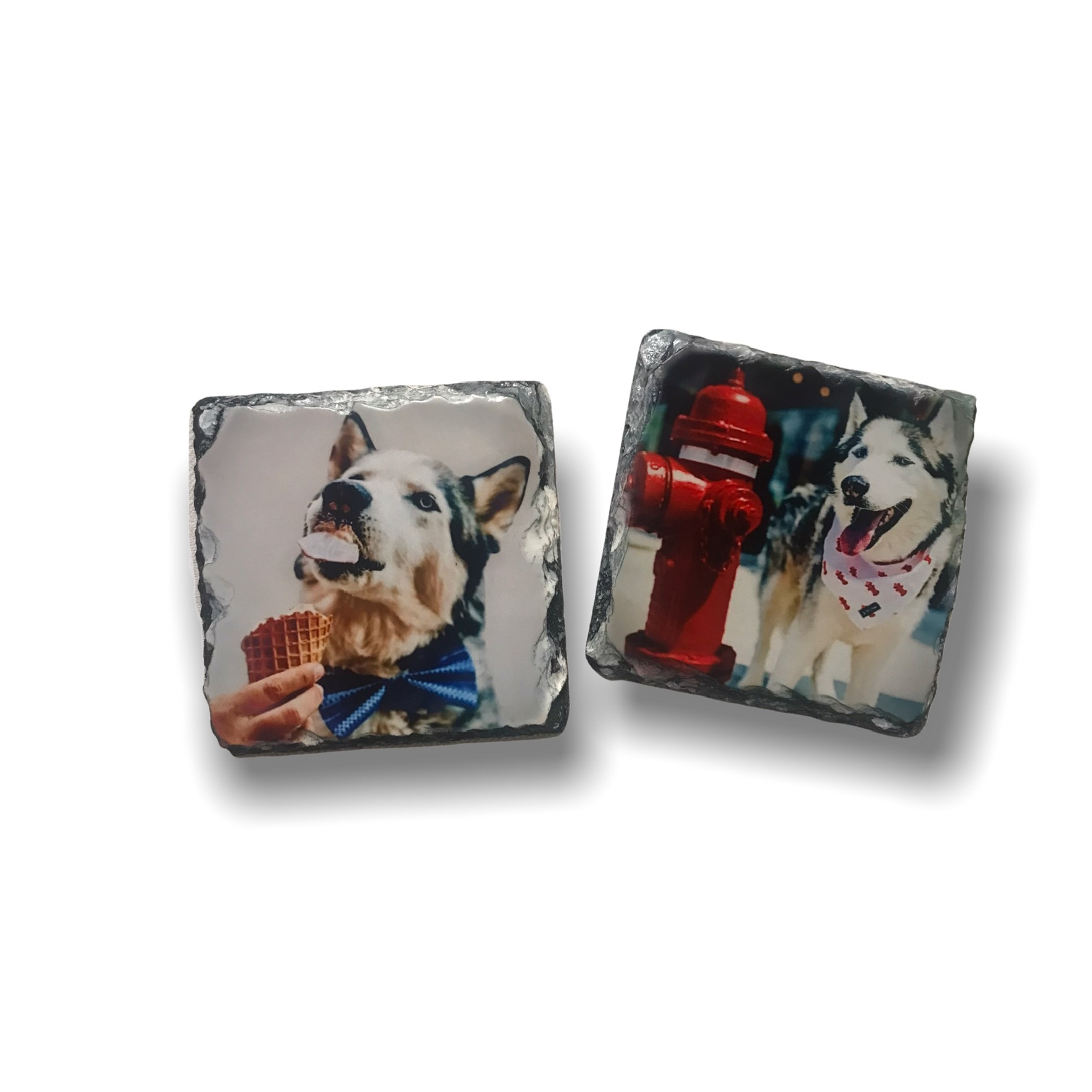 A set of five coasters with manâ€™s best friend Done in loving memory