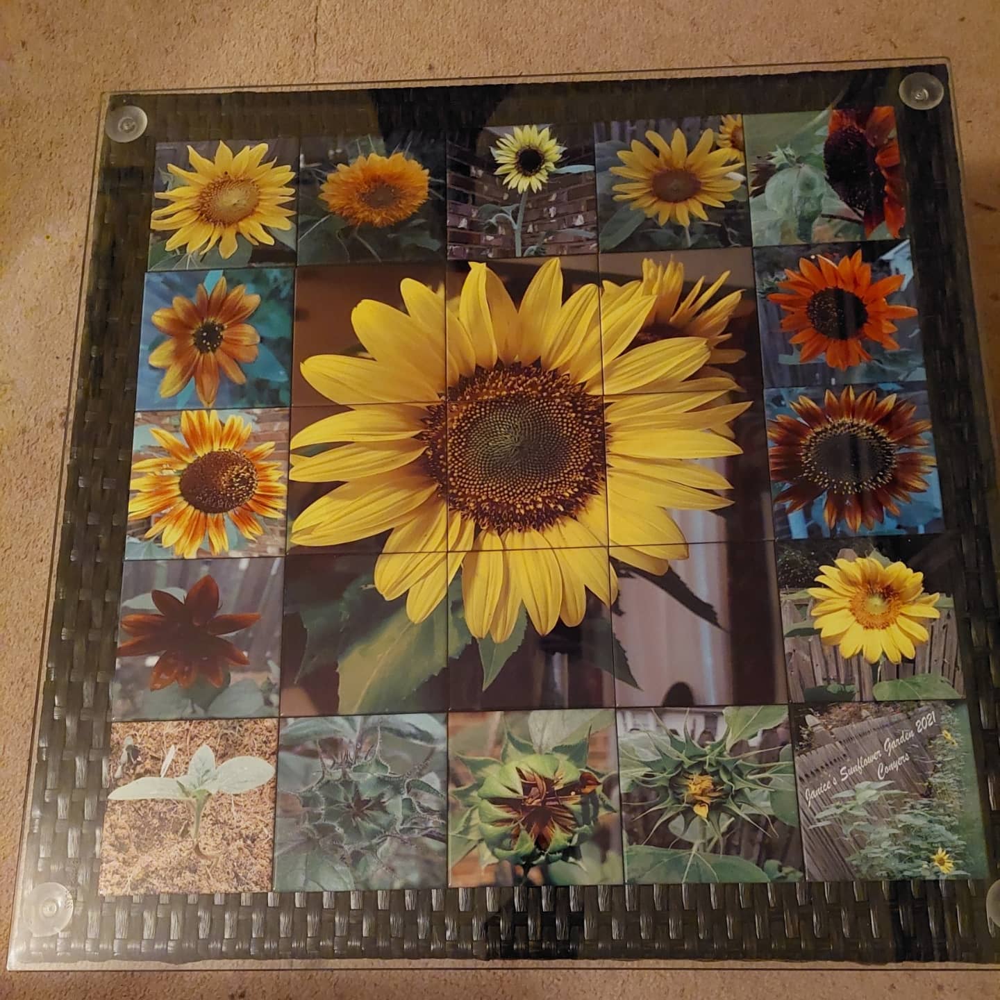 I pressed pictures of my sunflowers from my sunflower  garden on ceramic tiles to create a tabl