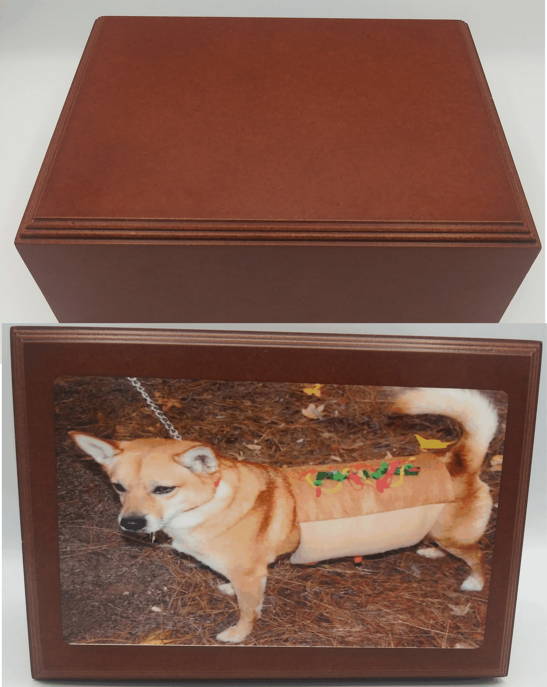 This photo panel took the cherry wood pet memorial box to the next level by giving the box pers