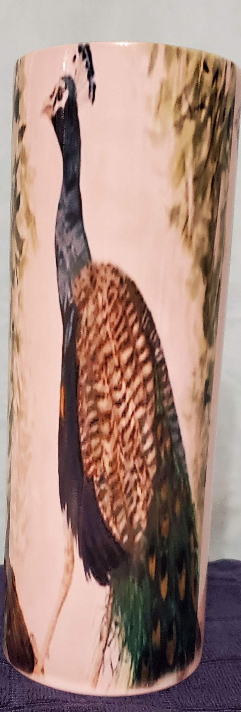 An artist painting of a peacock on Double wall 20oz tumbler