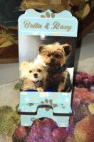 Sample phone stand for a dog grooming salon