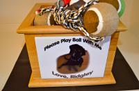Play Ball with Me Ball holder box/ Pet contest!