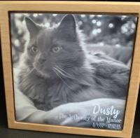 Another framed tile to remember our beloved kitty.