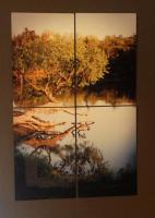 This is 4 8x12 ChromaLuxe Aluminum put together to make a stunning fall photo.. 