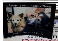 5 X 7 Curved Acrylic to honor the 3 family pets.
