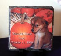 Welcome home a new pet so that you will never forget when they found their forever home!