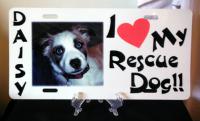 Share your love of your rescue dog with the world!