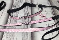 A matching set of tag, collar and leash.
