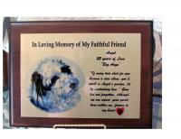 Our memory plaques are personalized with the picture of the pet, a personalized saying and thei