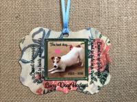 My sweet dog passed away last week. I created this ornament to celebrate her life. The frame an