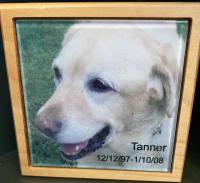 We have this tile framed so we can always remember our first lab love.